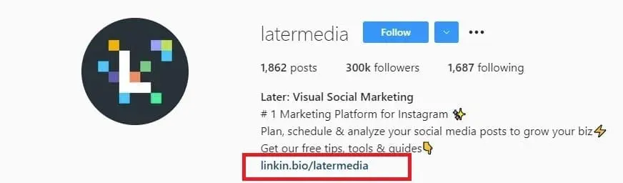 Instagram bio link