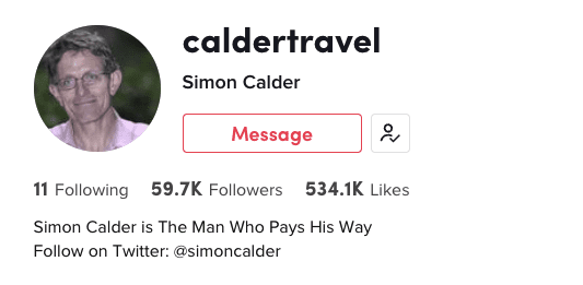 how to use tiktok for business