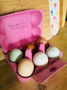 Fresh eggs from Blue Barn Country Retreat